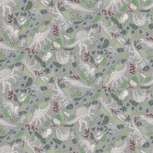PREHISTORIC FOSSILS GREY