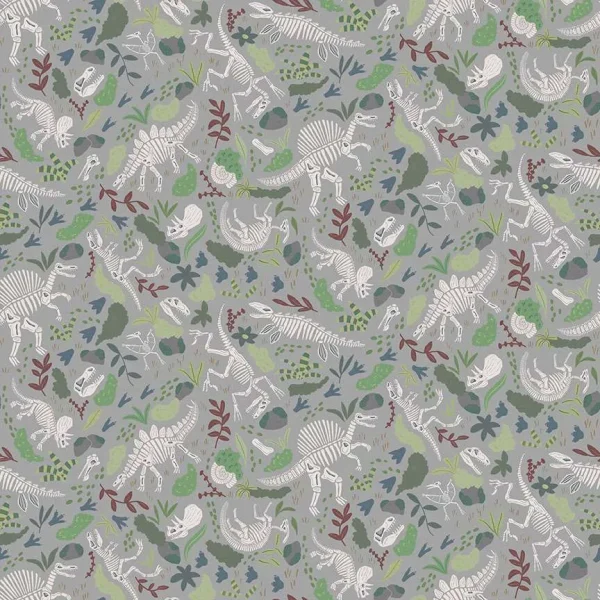 PREHISTORIC FOSSILS GREY