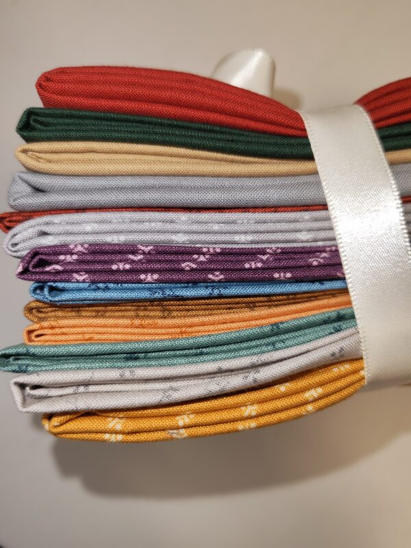 Itsy Bits by Renée Nanneman – Fat Quarter Quilt Pack - - Sewing Direct