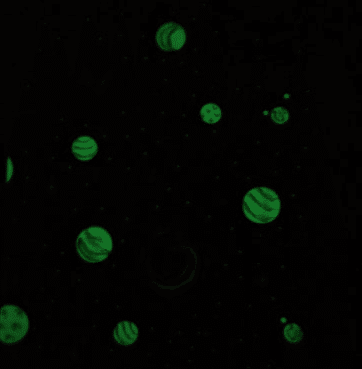 Canvas - Milky Way (Glow In The Dark)